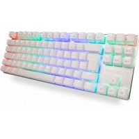 Clavier: Teclado Gamer Mecânico Fallen Ace - Nisqyy Setup