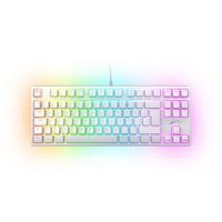 Clavier: Xtrfy K4 TKL RGB - Daiko Setup