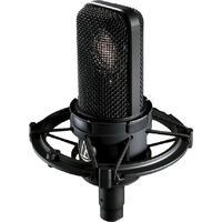Micro: Audio-Technica AT4040 - Pauleta_Twitch Setup