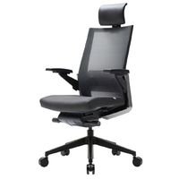 Chaise de jeu: Sidiz T80 - Symbabouet Setup